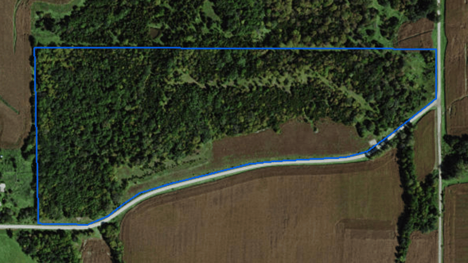 HOSKINSON WILDLIFE AREA