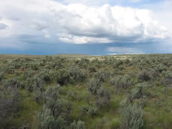 Chester Butte Unit