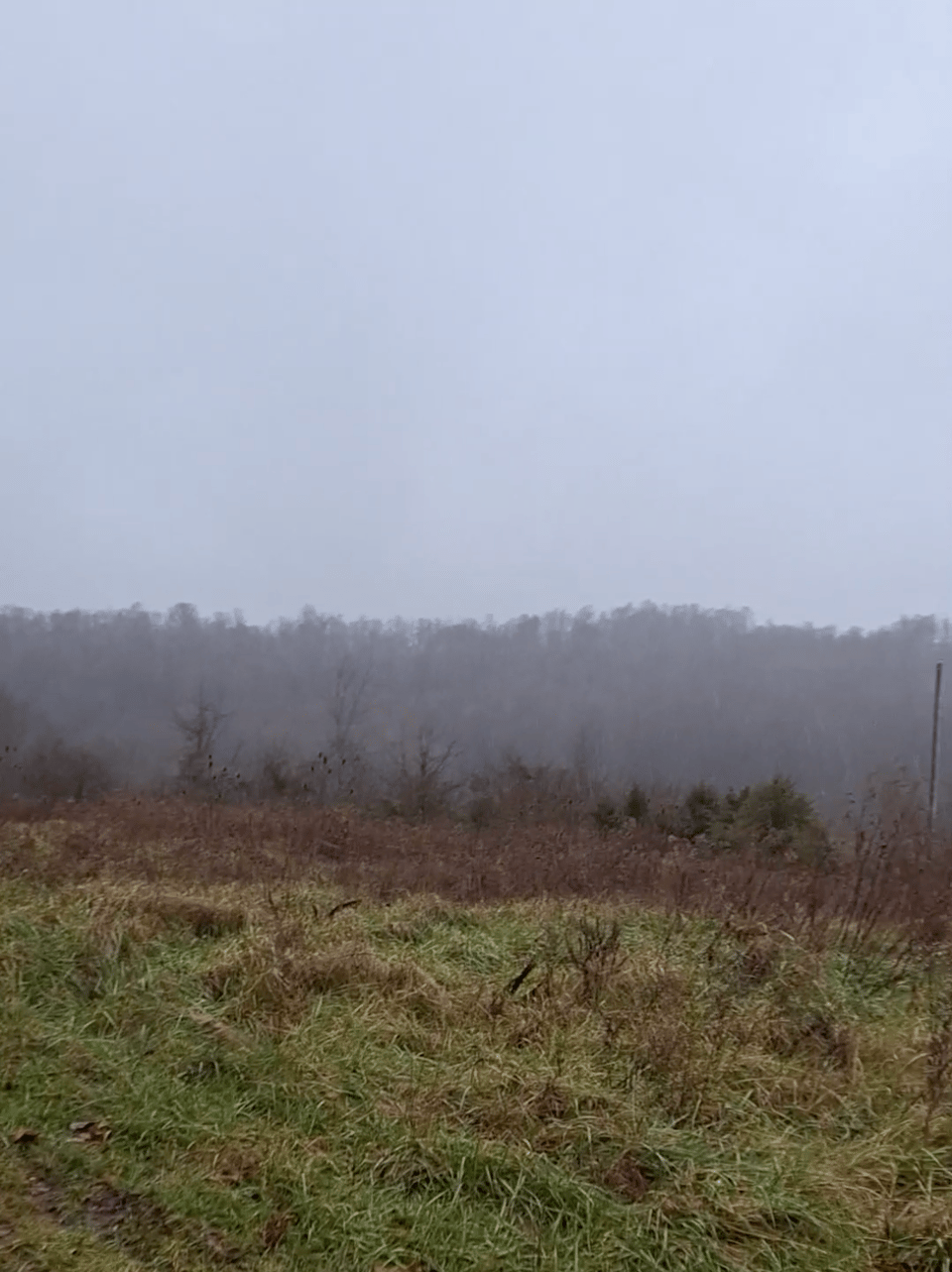 56 acres - Waverly, Ohio