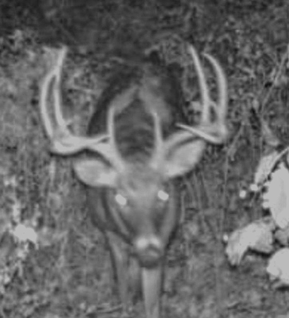 90 acres - Elizabeth, IN