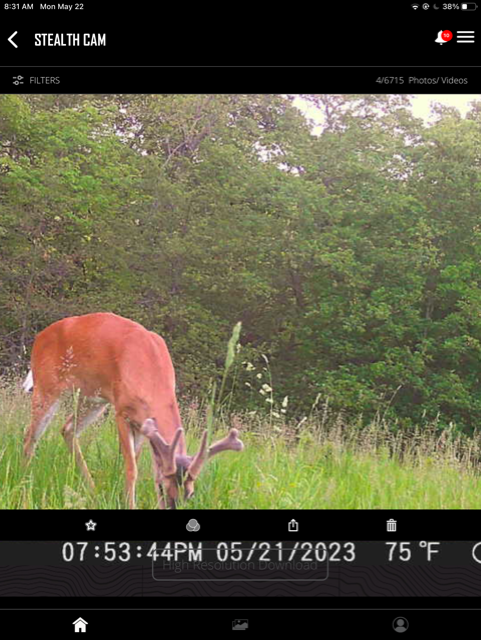 Excellent hunting opportunity Jefferson, Iowa