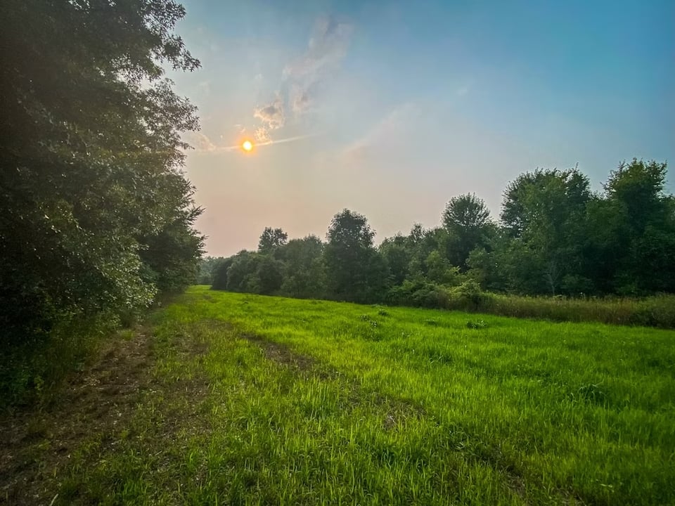 59 acres in Archbold for lease