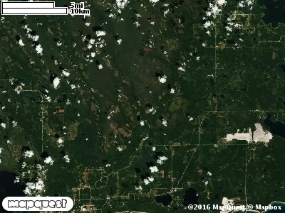 Seney Manistique Swamp