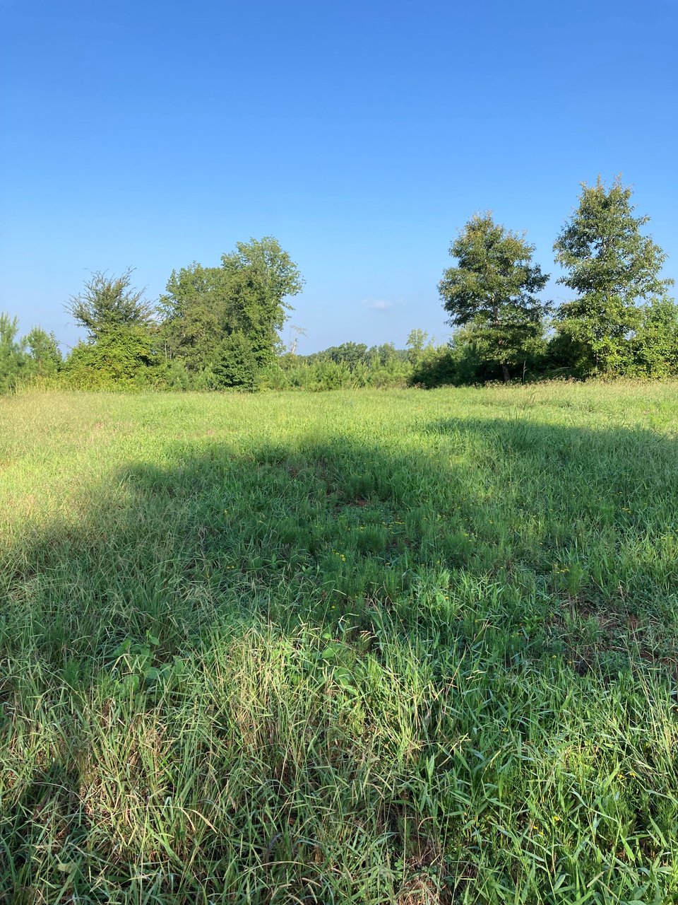 Forsyth, Georgia hunting land