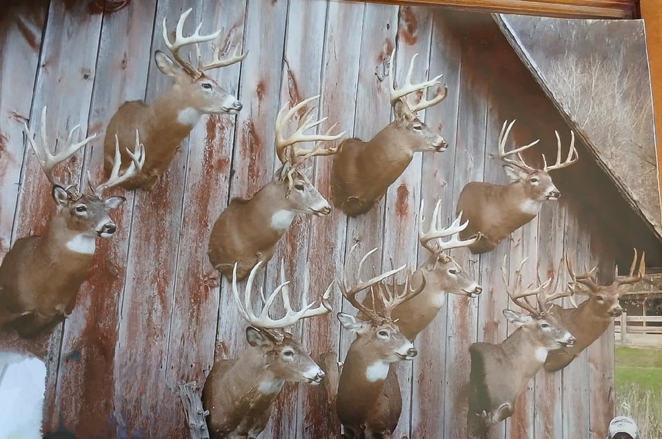 Premier 1000ac Trophy Whitetail Lease - Archery Only