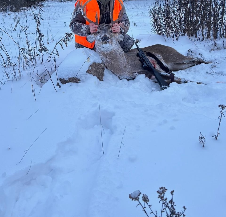 Bryant, Wisconsin hunting land