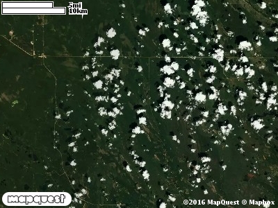 Seney Manistique Swamp