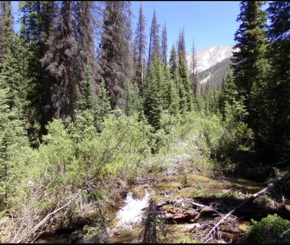 10 acres - Whitepine, Colorado