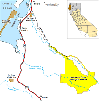 Headwaters Forest Ecological Reserve