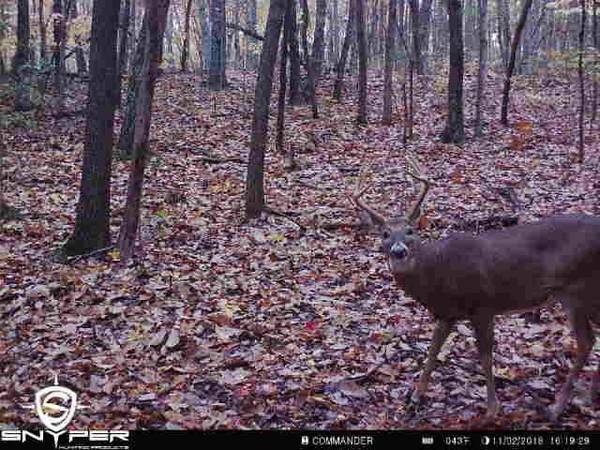 Wayne County KY 800 Acres