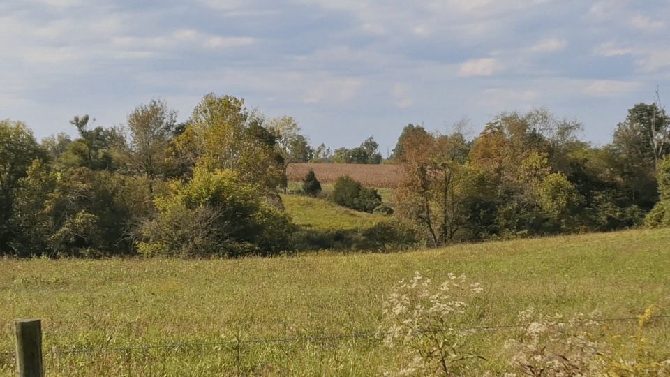 320 acres - Eastview, Kentucky