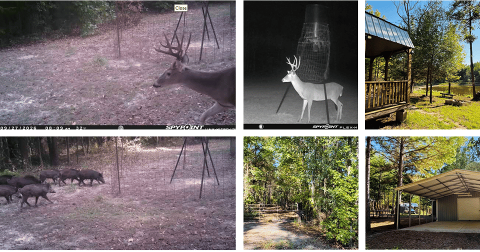 Weekend Deer Hunt East Texas