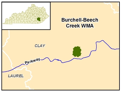 Burchell-Beech Creek WMA