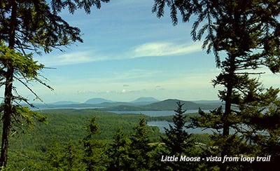 Little Moose Public Reserved Land