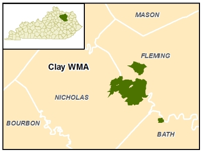 Clay WMA