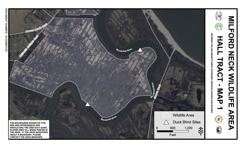 Milford Neck Wildlife Area - Hall Tract