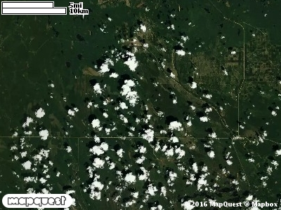 Seney Manistique Swamp