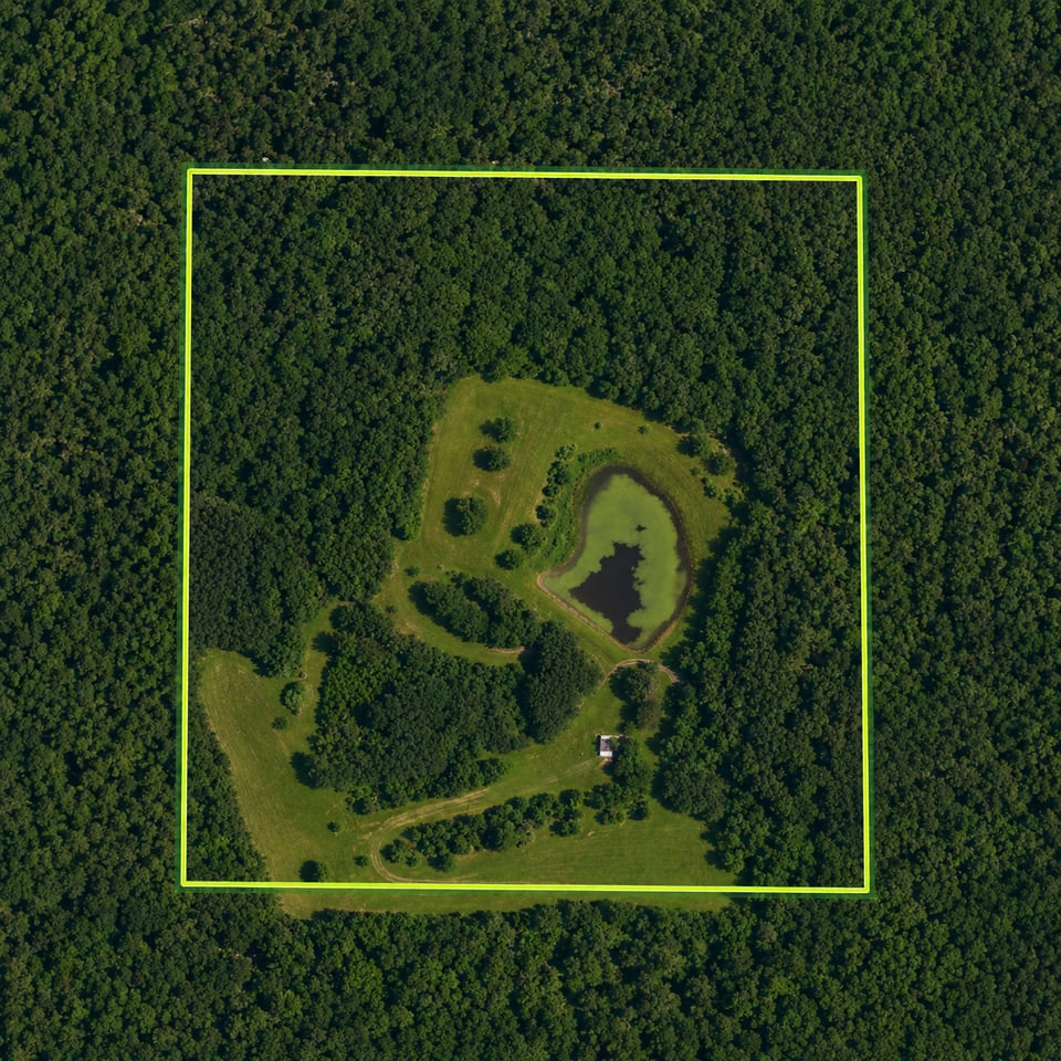 Black warrior wildlife Management area , Alabama hunting land