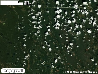 Seney Manistique Swamp