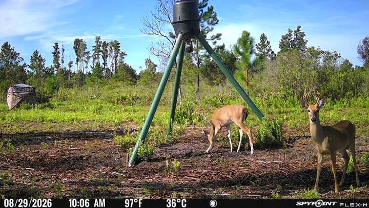 Excellent hunting opportunity Alachua, Florida