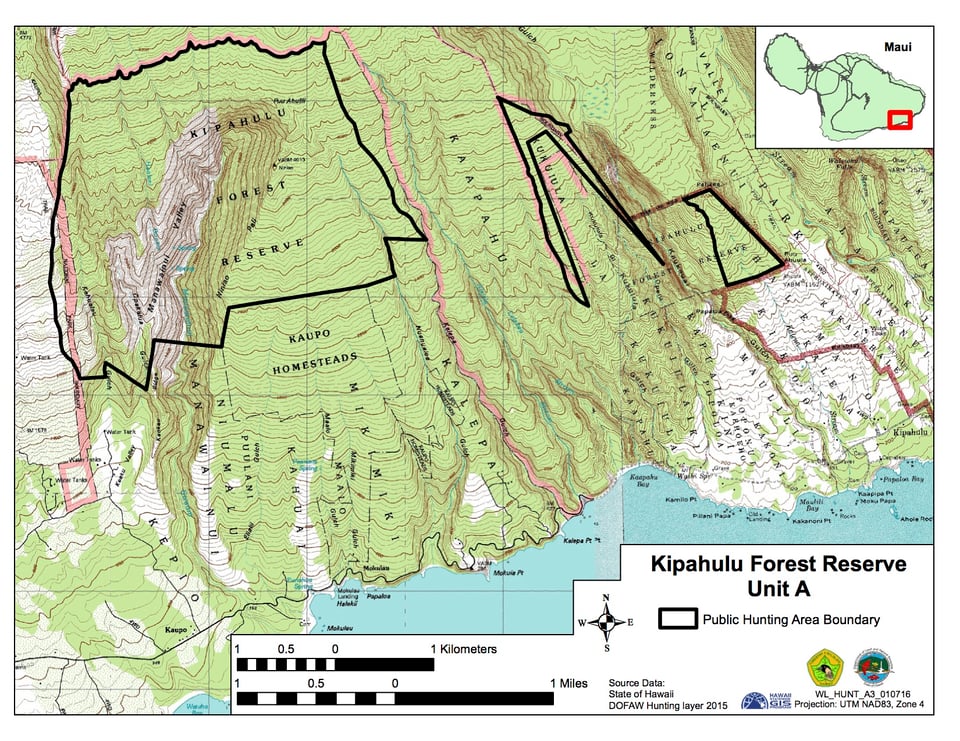Kipahulu Forest Reserve - Unit A