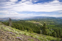 Rock Creek Unit