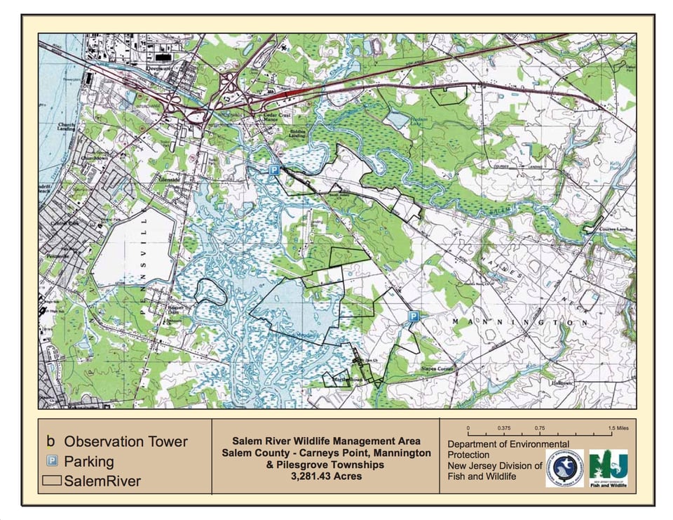 Salem River Wildlife Management Area - Mannington West