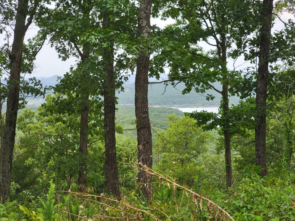 278 acres in Stone Co. for lease