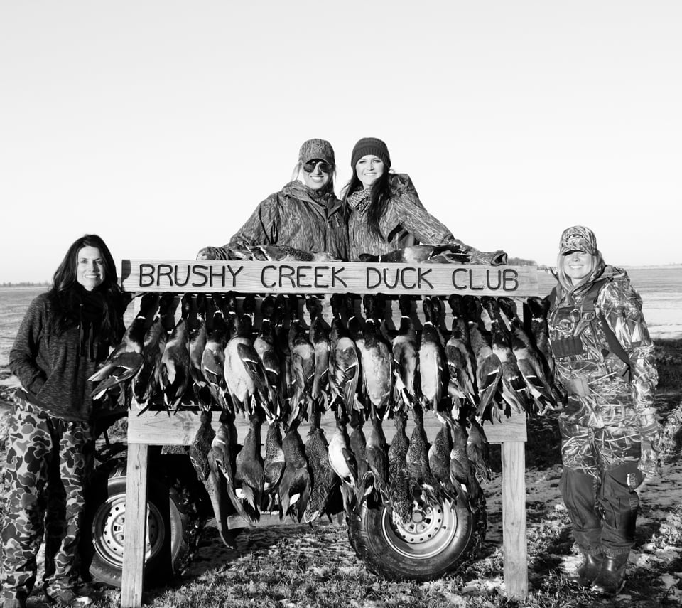 Now available 500, Arkansas, Arkansas