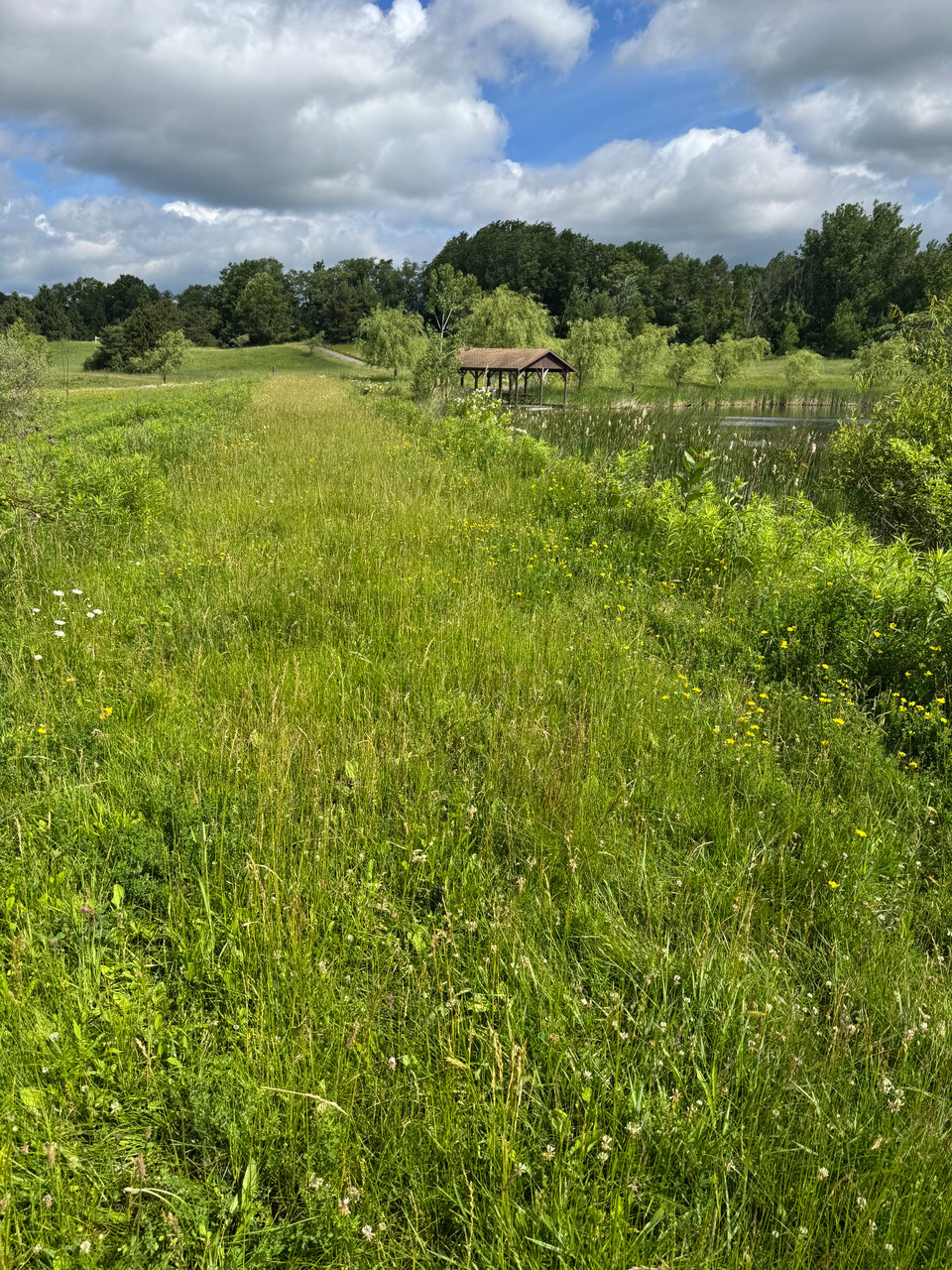 65 acres in Wyoming Co. for lease