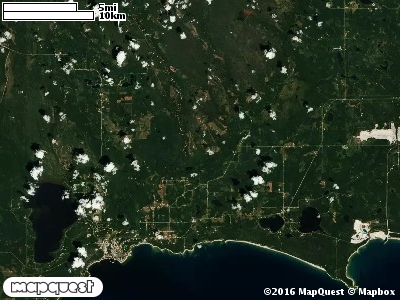Seney Manistique Swamp