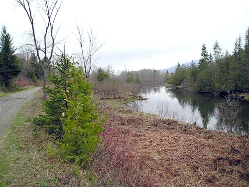 Bangor &amp; Aroostook Trail