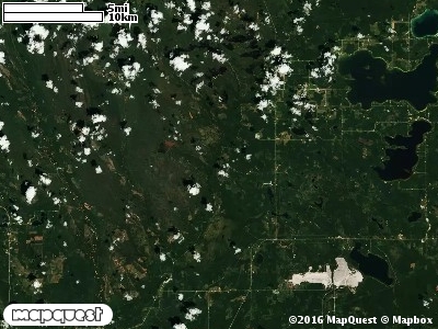 Seney Manistique Swamp