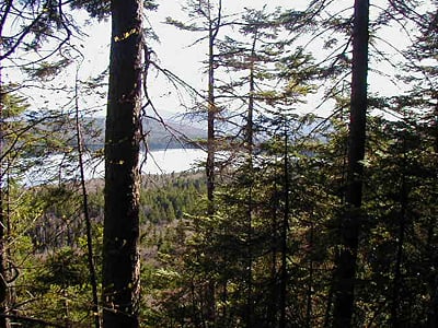 Four Ponds Public Reserved Land