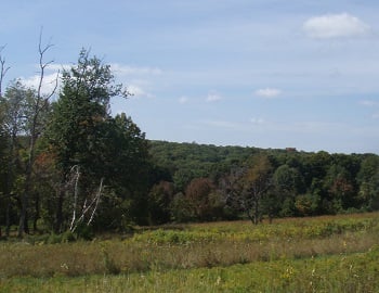 Cranberry Mountain WMA