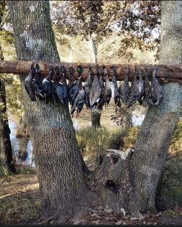 Broken Bow  hunting land for lease