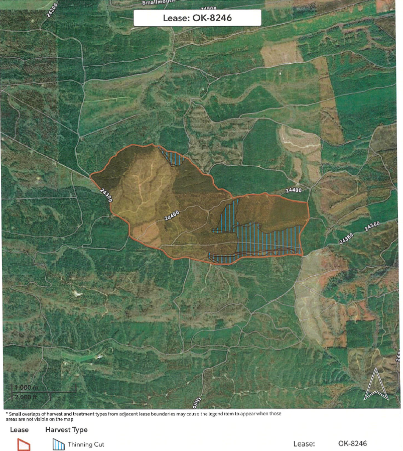 Now Leasing - 908 Acres, McCurtain, OK (OK-8246)