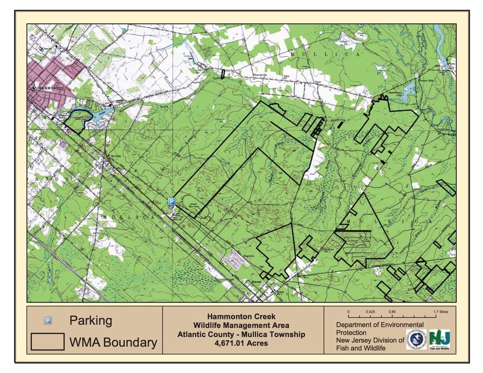 Hammonton Creek Wildlife Management Area - West