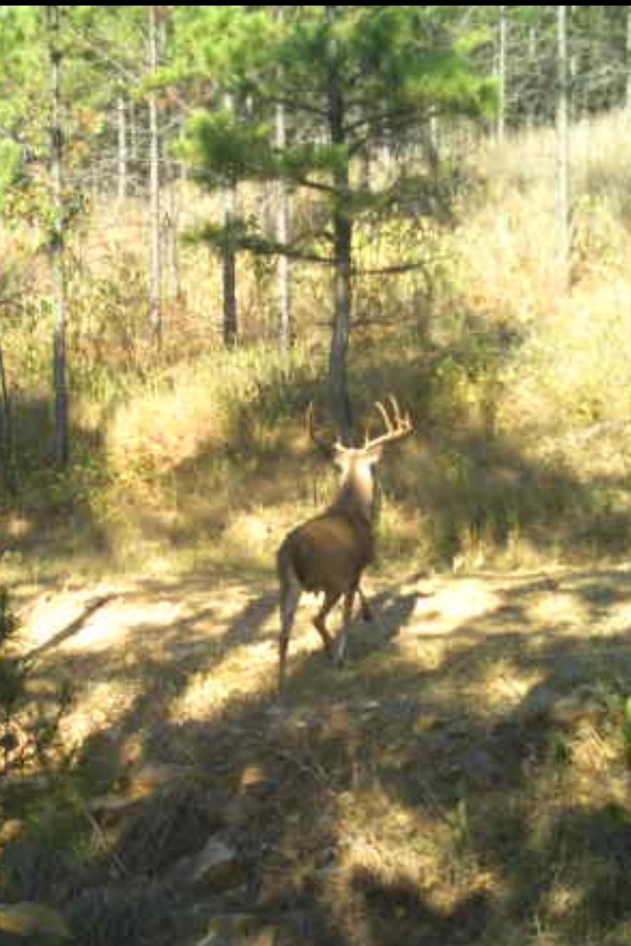 Beautiful. 883 in Pushmataha, Oklahoma