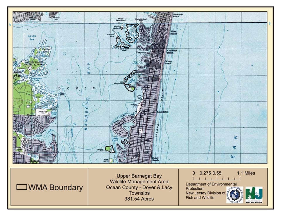 Upper Barnegat Bay Wildlife Management Area - North