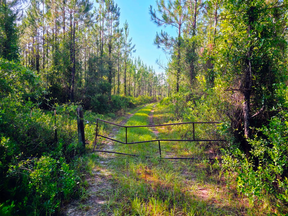 162 acres - Hilliard, FL - Nassau County