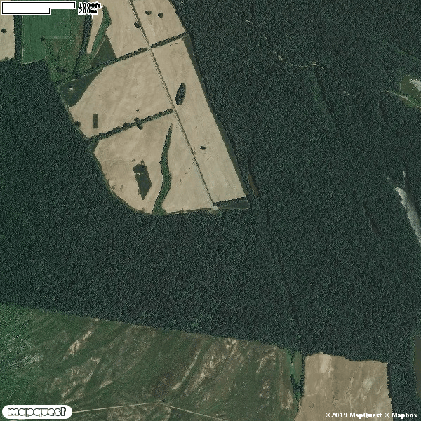 MOSS ISLAND