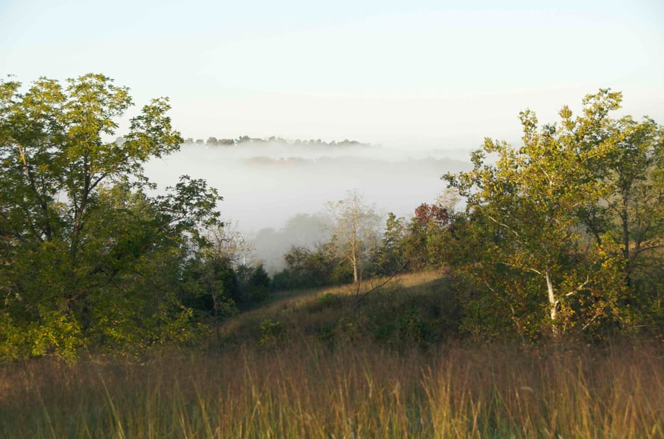 Now leasing 266 acres Ozark, MO