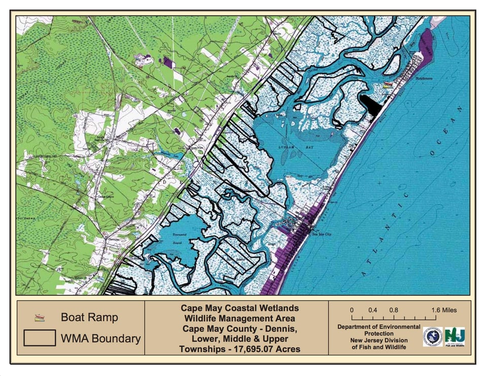 Cape May Coastal Wetlands Wildlife Management Area - Seaisle