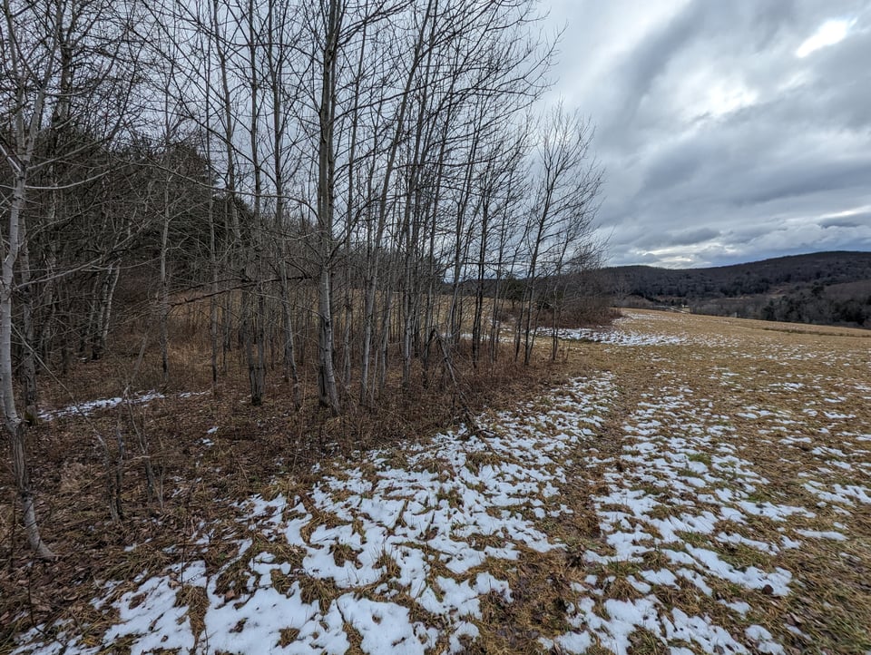 Available 75 acres Newark Valley, New York