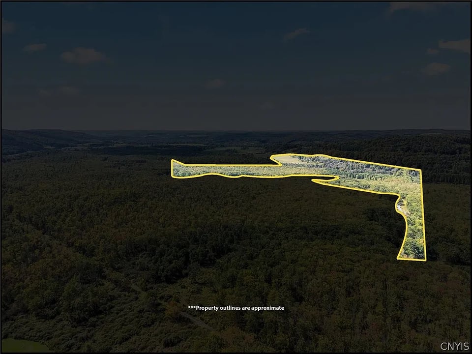Hubbardsville , New York hunting land
