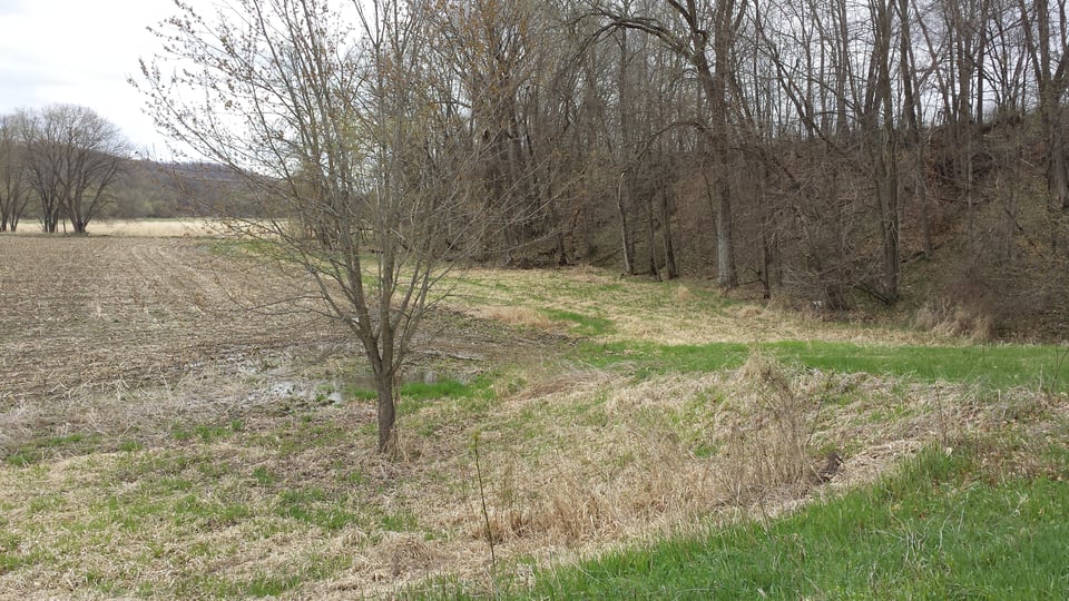 Turkey & Bow Deer Hunt Lease