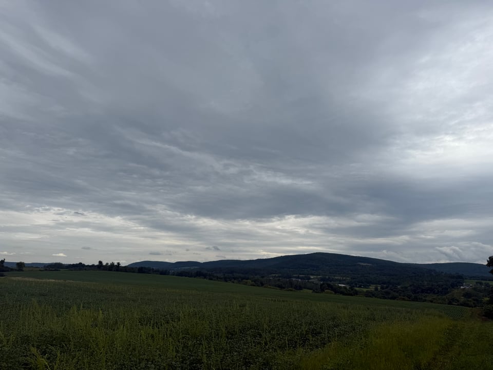 Available 73 acres Cobleskill , New York
