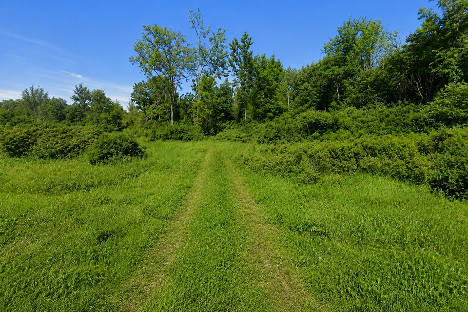 Hunting land - 144 acres, Gouverneur, New York