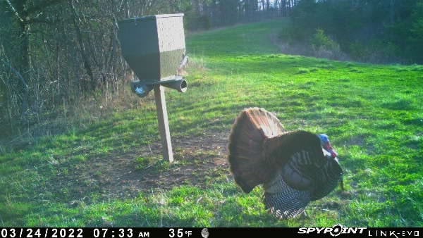 Hunting land - 141 acres, Caneyville, KY